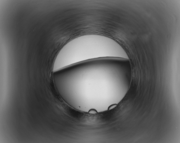 X0000087350127200704200812