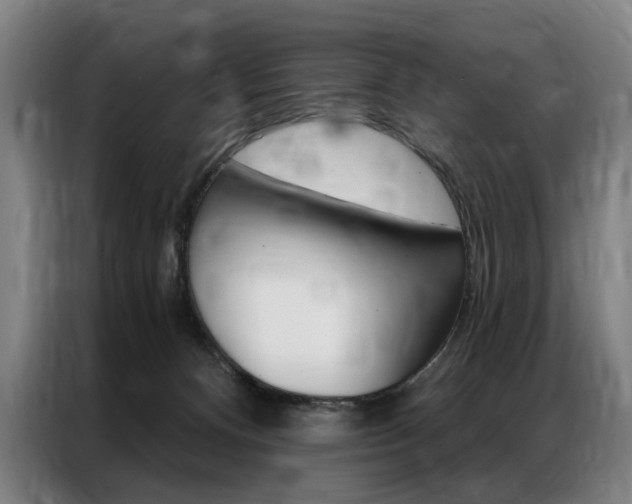 X0000087350128200704200812