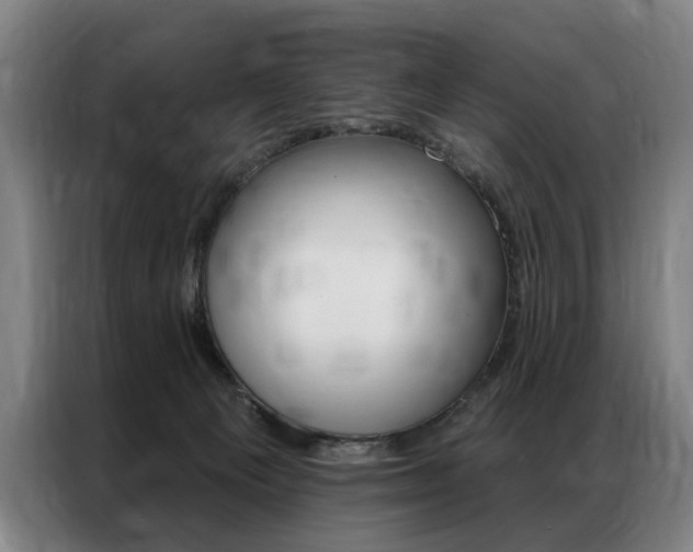 X0000087350129200704200812