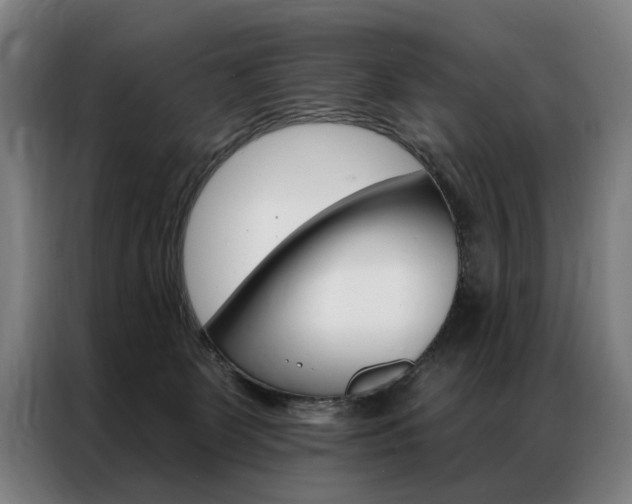 X0000087350131200704200812