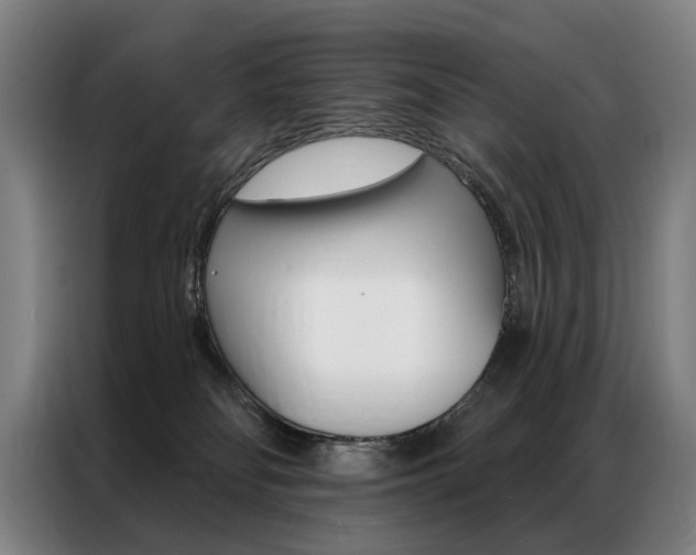 X0000087350134200704200812