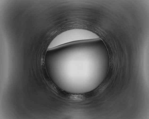X0000087350137200704200812