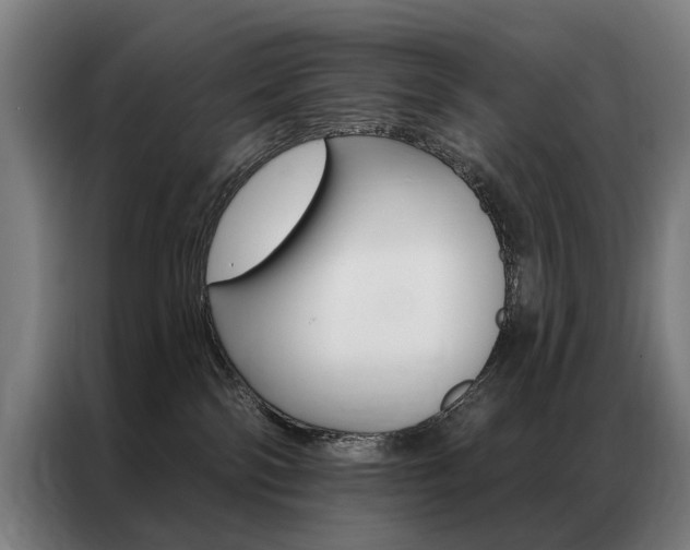 X0000087350138200704200812
