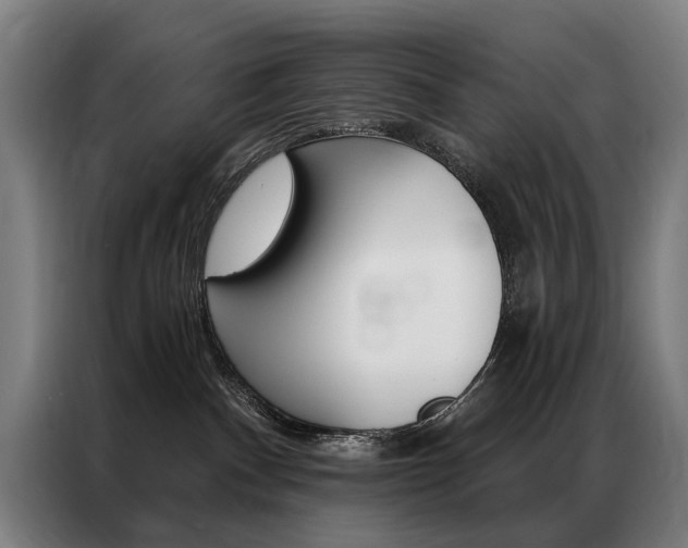X0000087350140200704200812