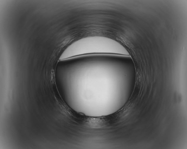 X0000087350141200704200812