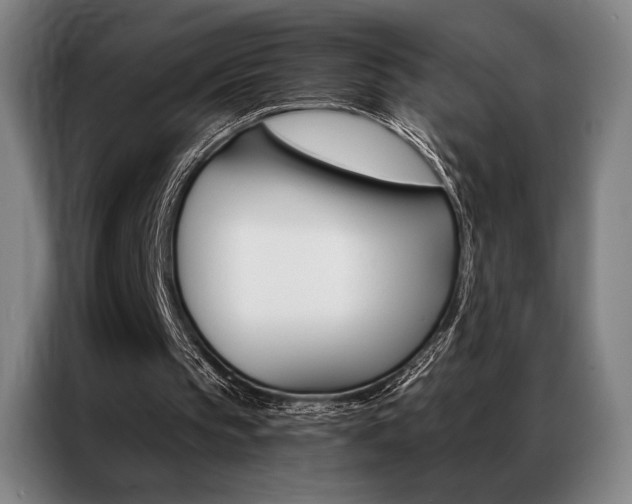 X0000087350145200704200811