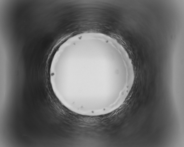 X0000087350146200704200811