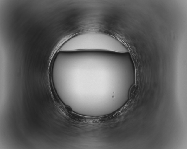 X0000087350147200704200811