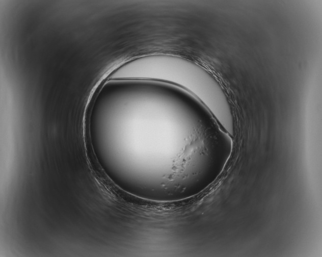 X0000087350148200704200811