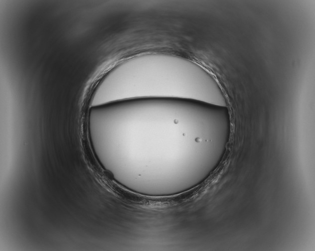 X0000087350149200704200812