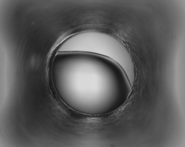 X0000087350150200704200812