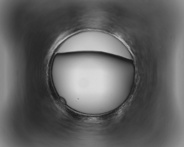 X0000087350151200704200812