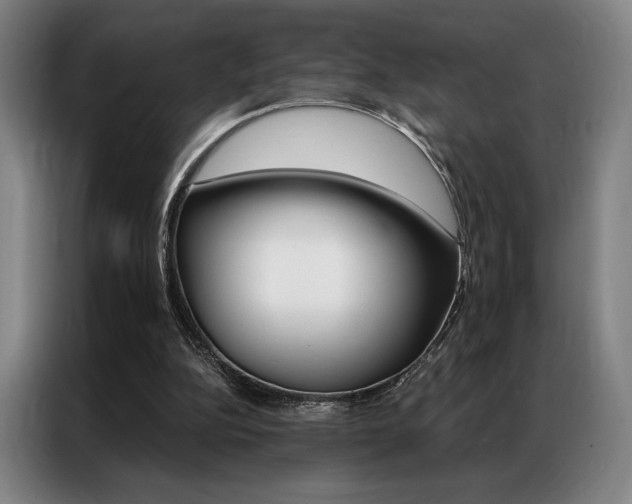 X0000087350152200704200812