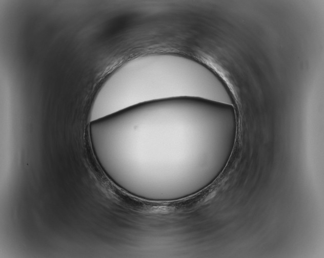 X0000087350153200704200812
