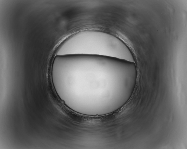 X0000087350155200704200812