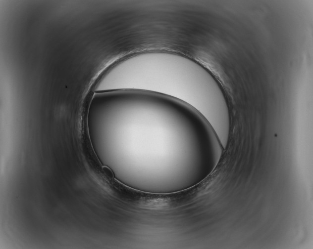 X0000087350156200704200812