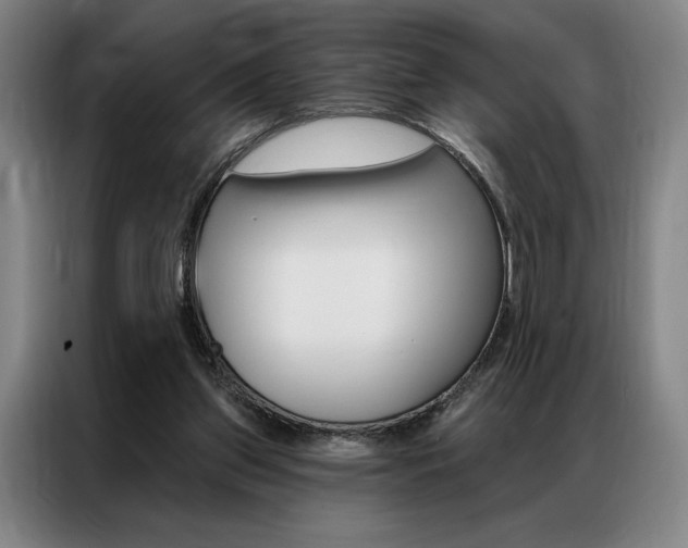 X0000087350157200704200812