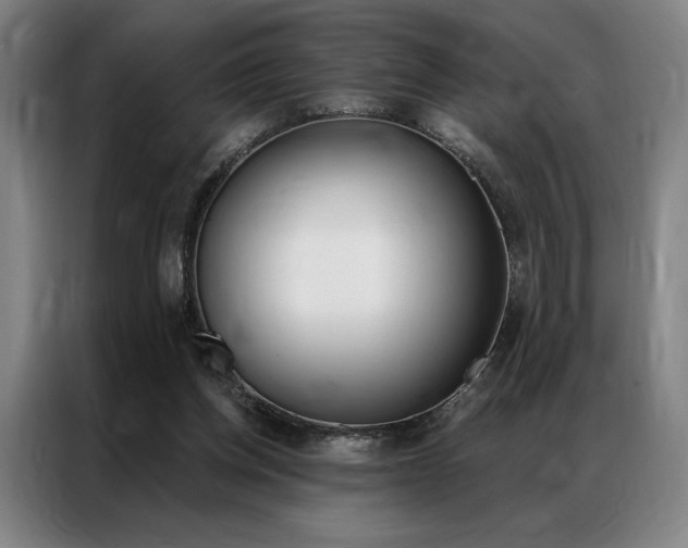 X0000087350158200704200812