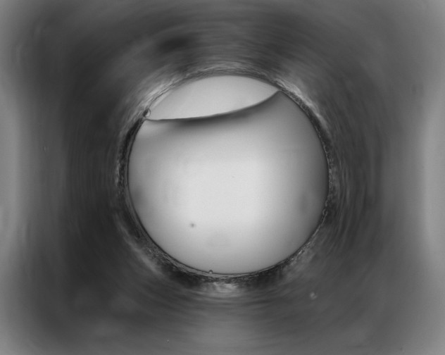 X0000087350159200704200812