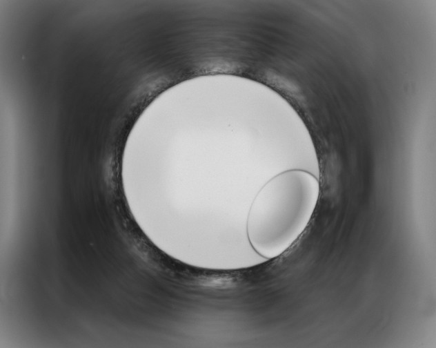 X0000087350162200704200812
