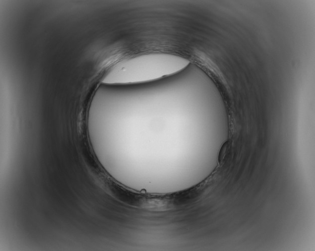X0000087350163200704200812