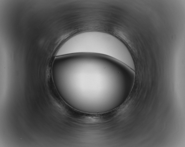 X0000087350164200704200812