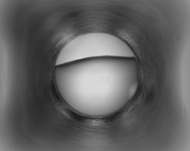 X0000087350165200704200812