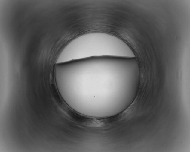 X0000087350166200704200812