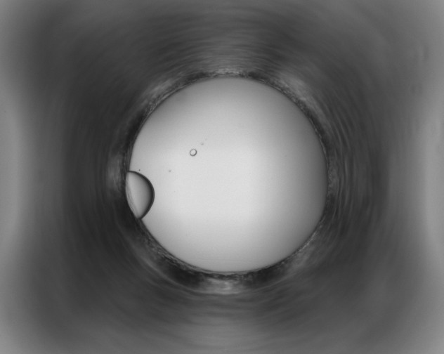 X0000087350167200704200812