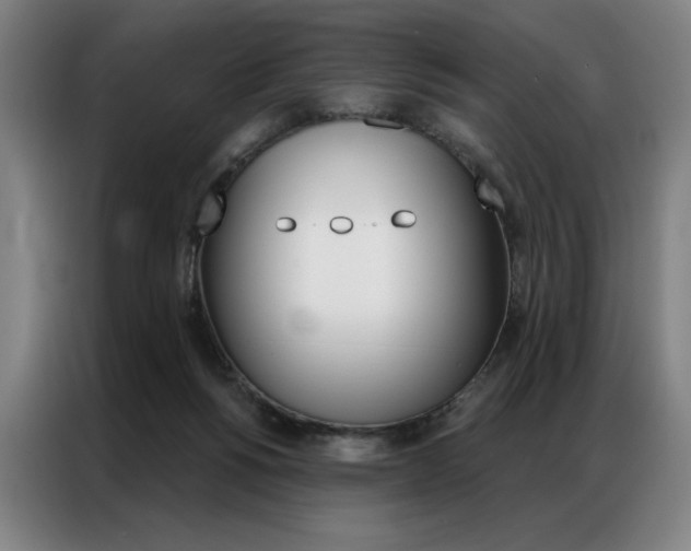 X0000087350168200704200812