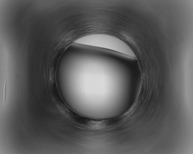 X0000087350170200704200812