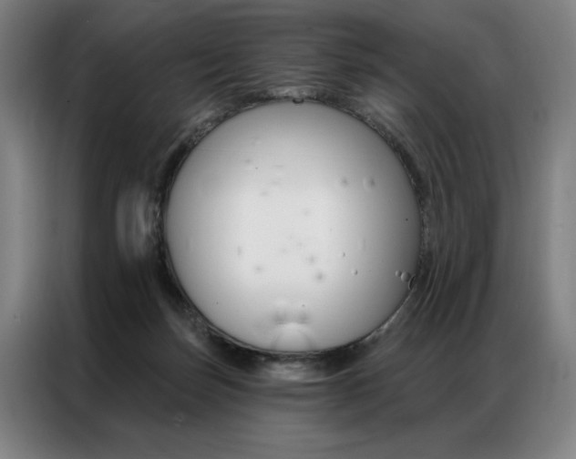 X0000087350171200704200812