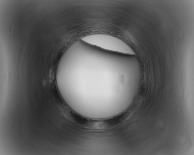 X0000087350173200704200812
