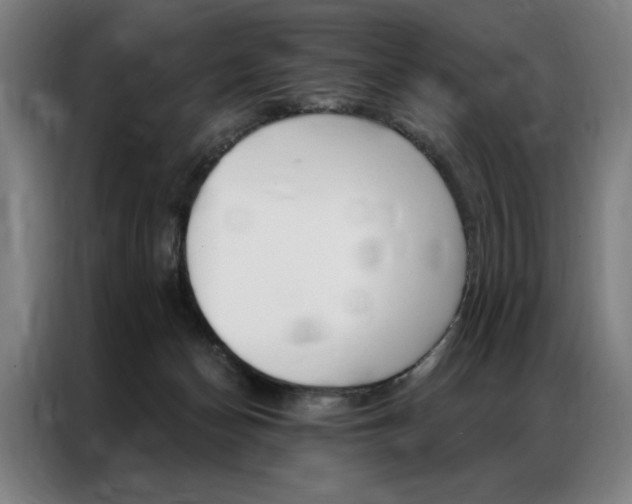 X0000087350174200704200812