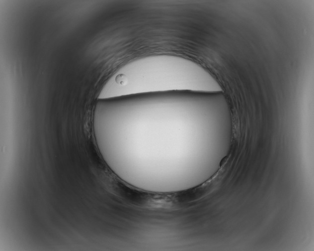 X0000087350175200704200812