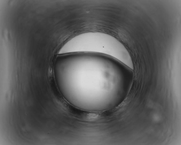 X0000087350176200704200812