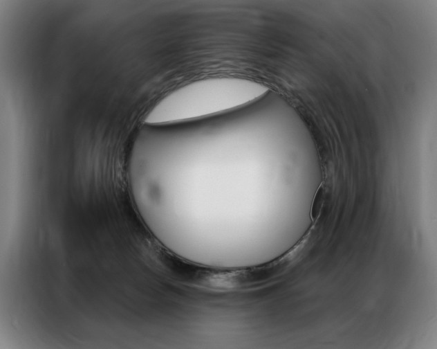 X0000087350178200704200812