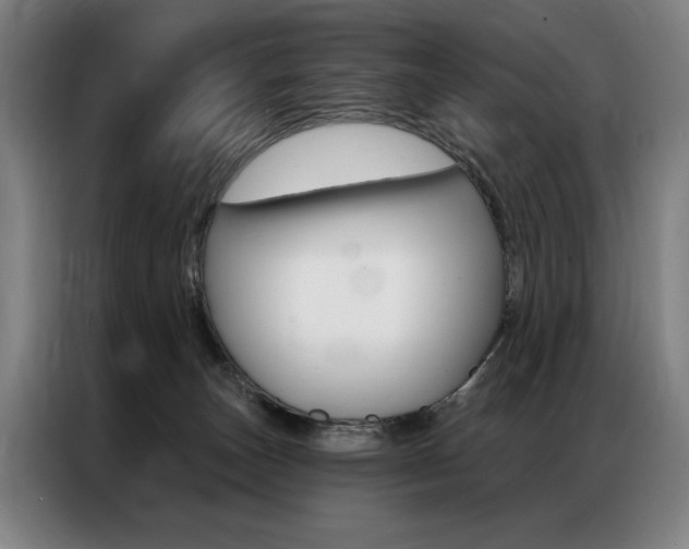 X0000087350179200704200812