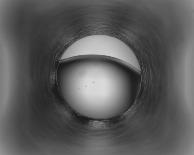X0000087350180200704200812