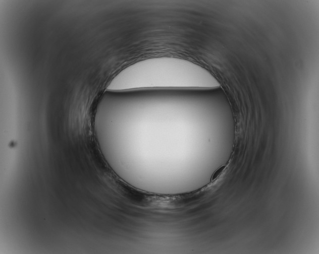 X0000087350182200704200812