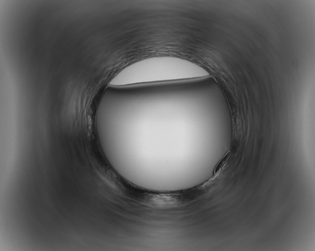 X0000087350183200704200812