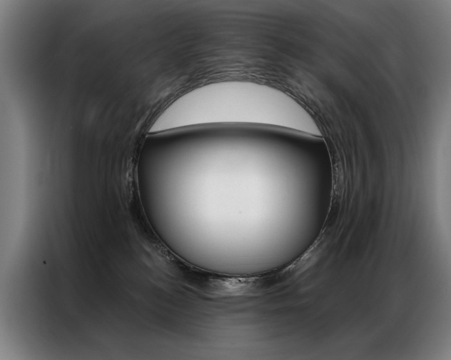 X0000087350184200704200812