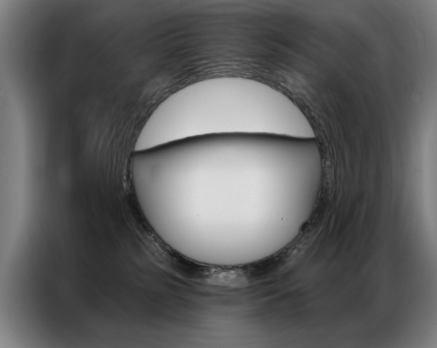 X0000087350185200704200812