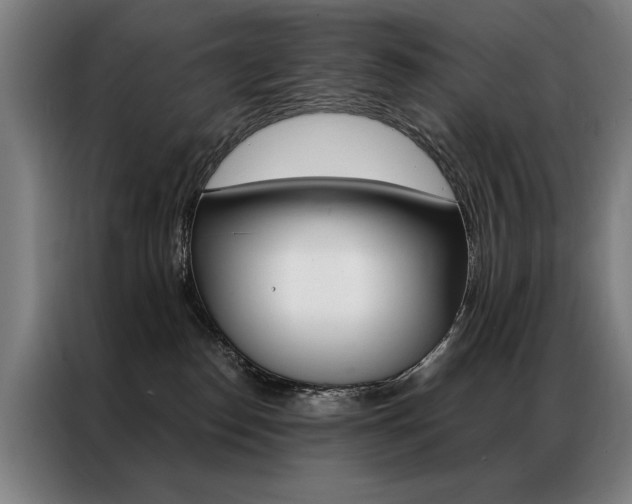 X0000087350186200704200812