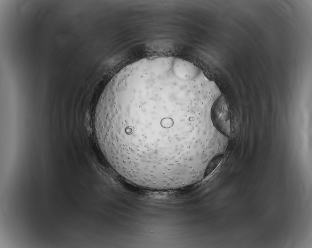 X0000087350187200704200812