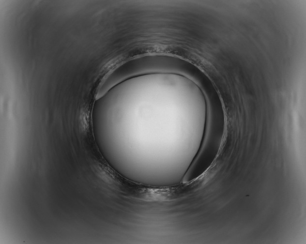 X0000087350188200704200812