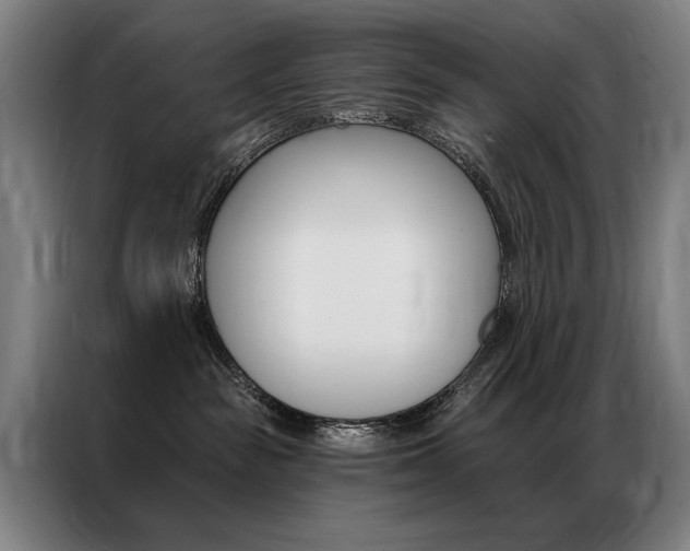 X0000087350189200704200812