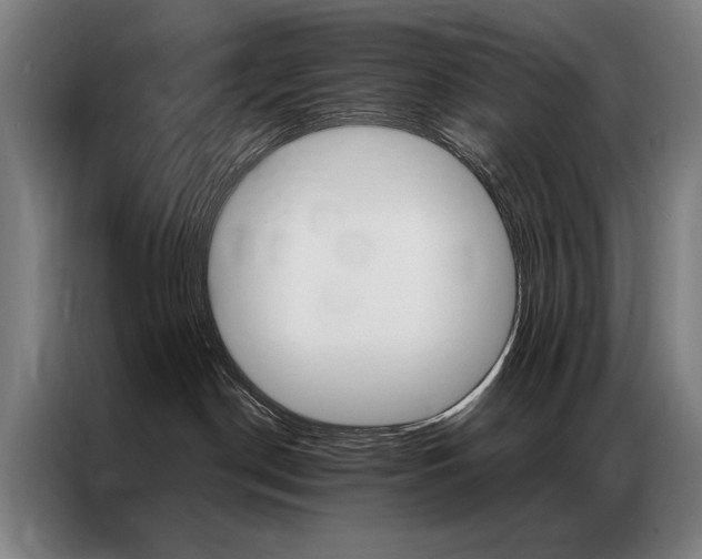 X0000087350190200704200812