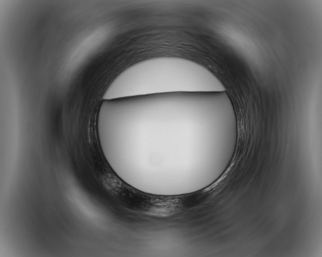 X0000087350191200704200812