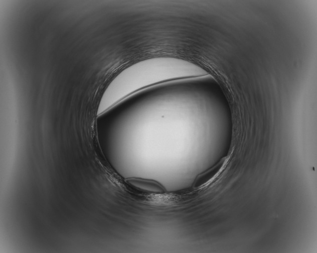 X0000087350192200704200812